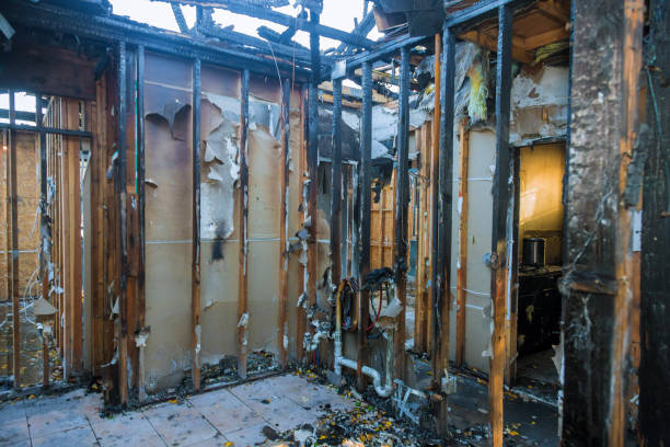 Professional Fire Damage Removal technician working in Westville, IL
